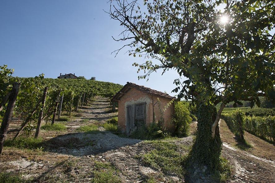 Cascina Ballarin Villa ลามอร์รา ภายนอก รูปภาพ